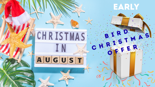 Christmas in Summer (Yes, Really) – And a Little Early Bird Treat 🎄