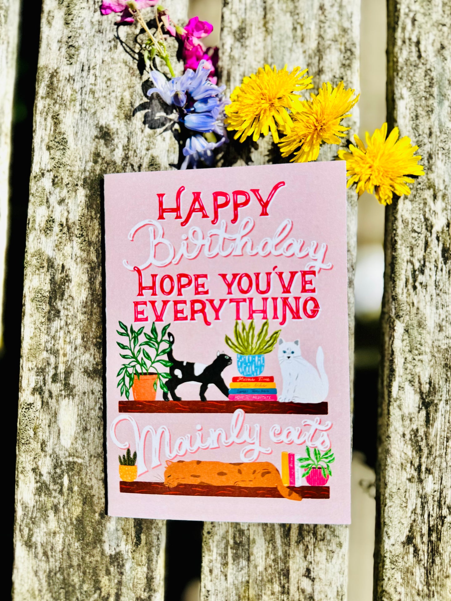 Funny Cat Birthday Card – Cute Illustrated Cats Greeting Card – Cat Lover Birthday Card