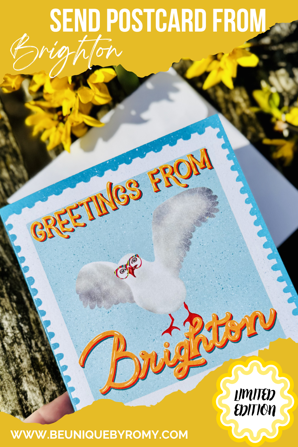Postcard with a seagull design and text 'Greetings from Brighton' against a blurred natural background.