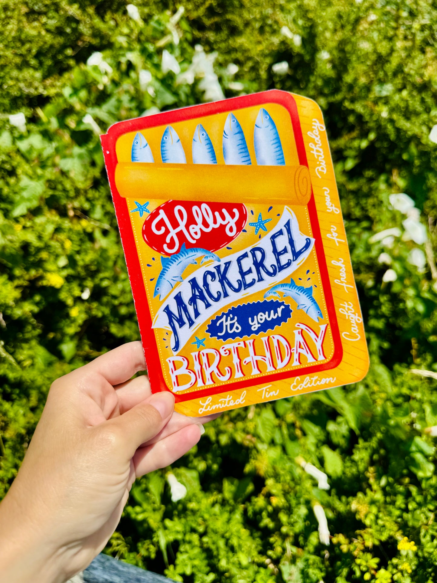 Holly Mackerel It's Your Birthday Card | Funny Fish Birthday Card | Mackerel Tin Birthday Card