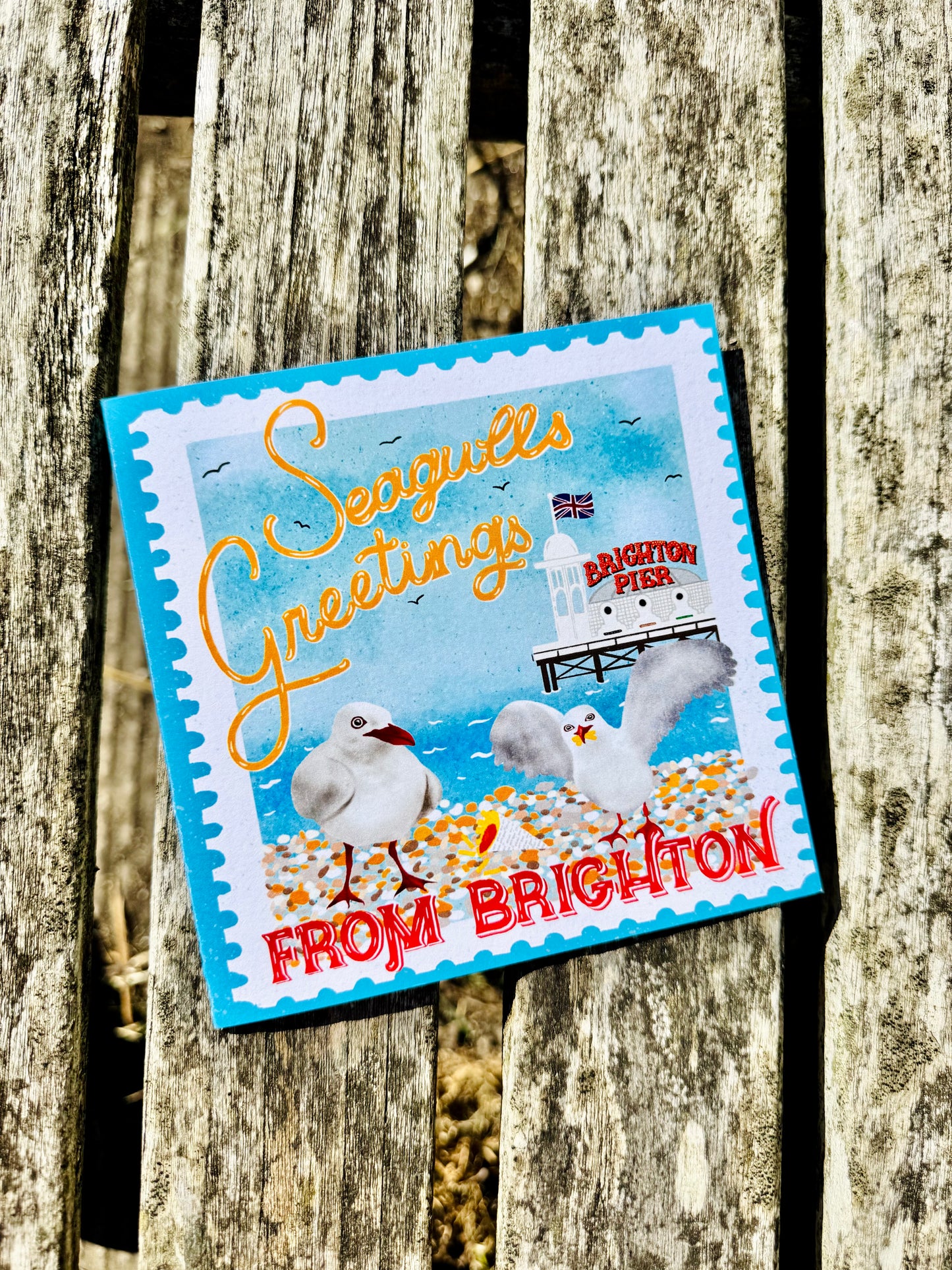 A square seagull-themed greeting card with a blue border and colorful illustration, placed on a weathered wooden plank surface. The card reads 'Seagulls Greetings' and 'FROM BRIGHTON'.