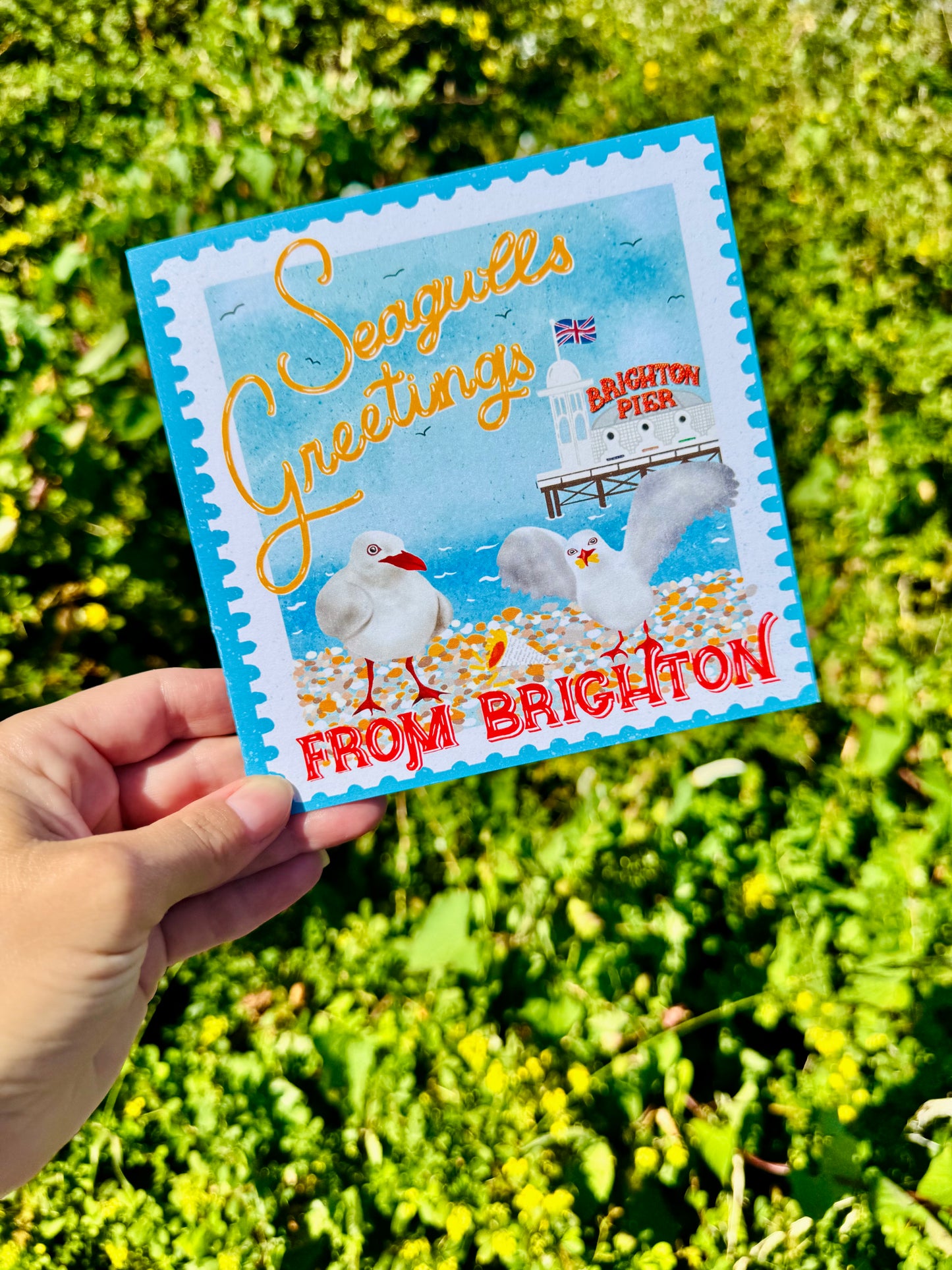 A hand holds a square postcard featuring a Brighton seagull illustration and the text 'Seagulls Greetings FROM BRIGHTON' against a blurred green outdoor background.