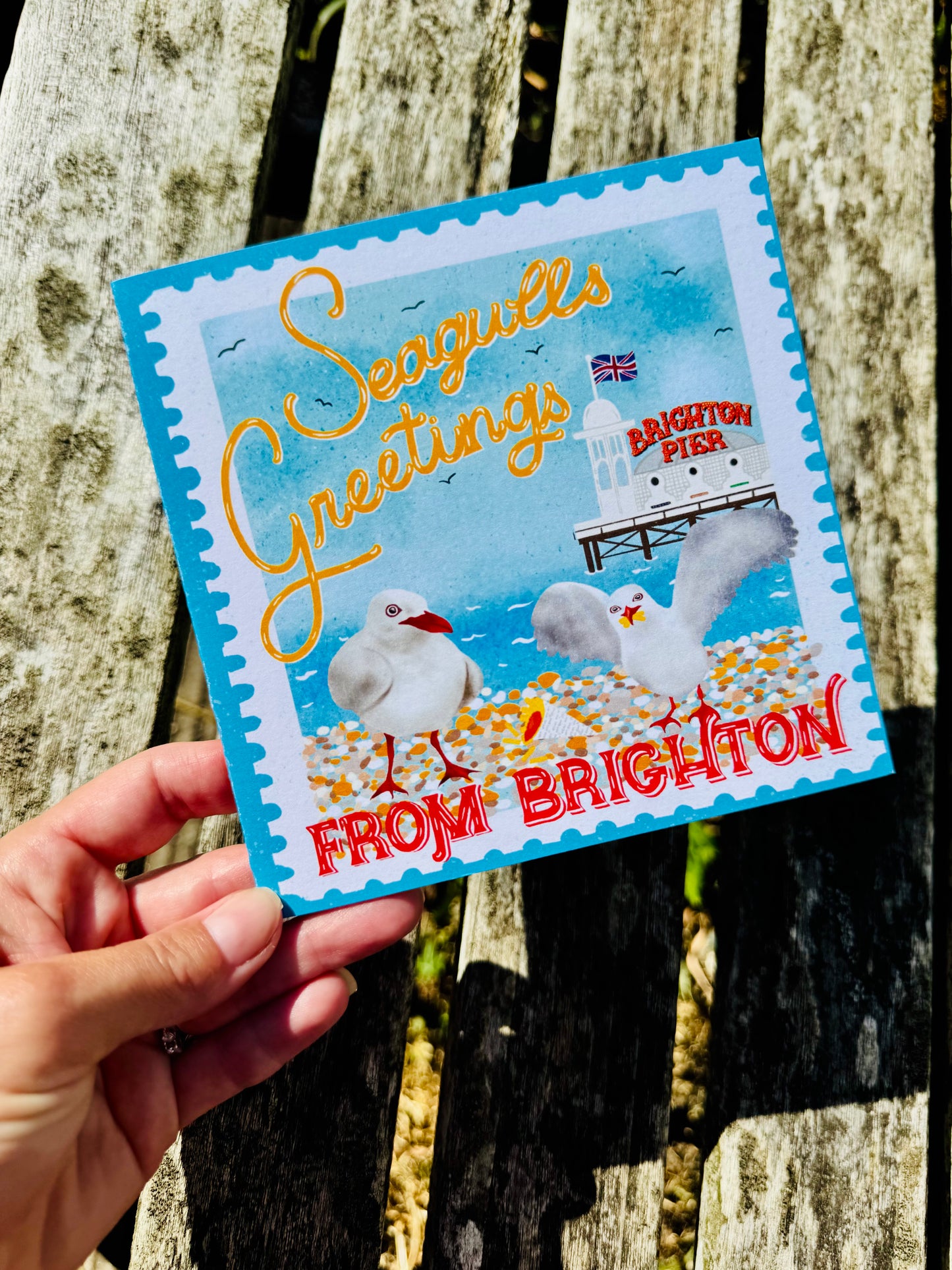 A hand holds a square seagull-themed greeting card outdoors against a weathered wooden fence. The card has a blue border and an illustrated scene with seagulls, the word 'Seagulls Greetings' in yellow script, and 'FROM BRIGHTON' in red text at the bottom.